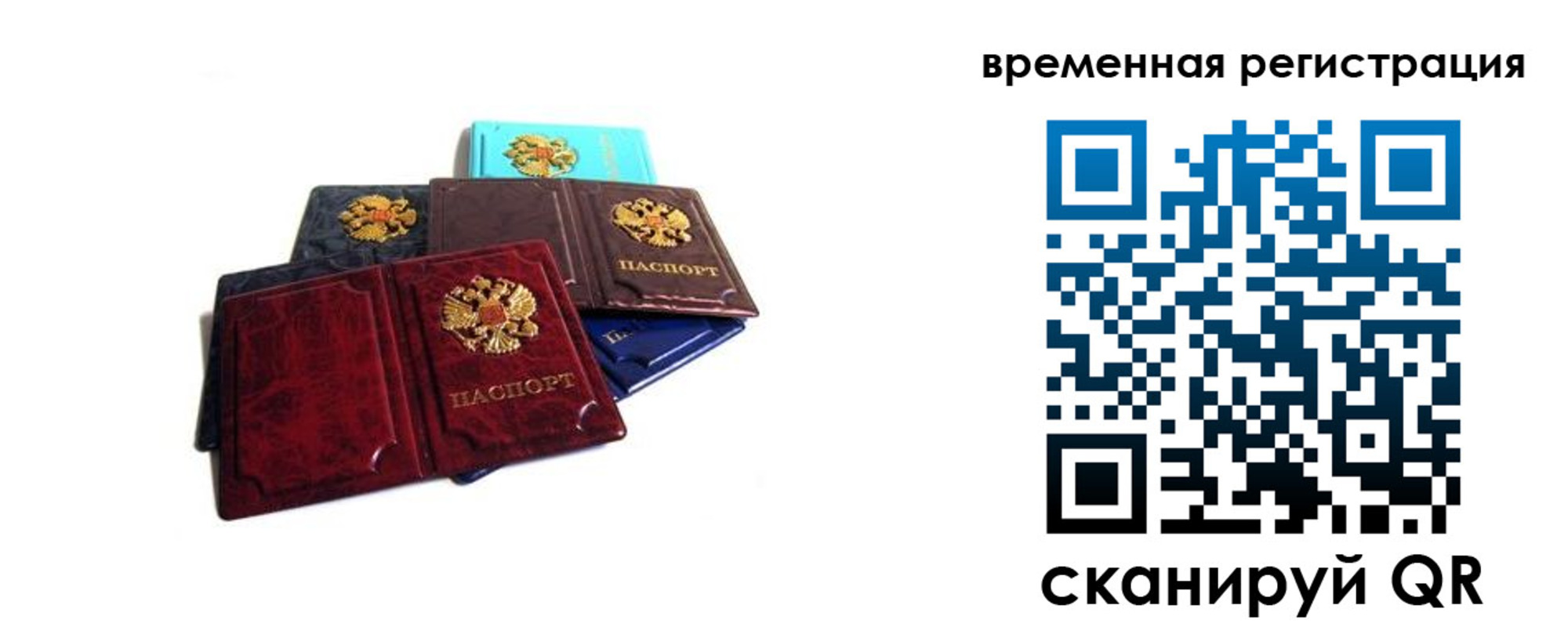 прописка гарантия в Боброве